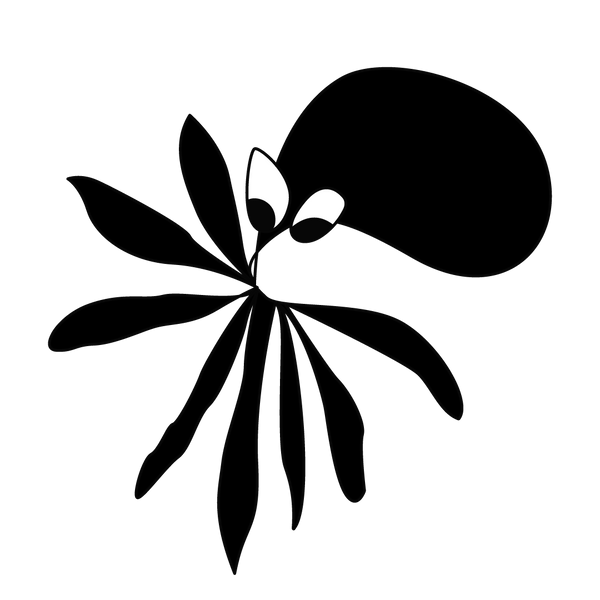 Lost Tako Design